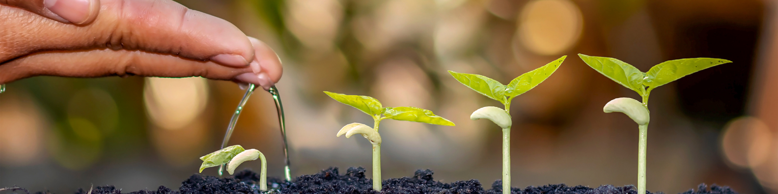 LinkedIn Banner_P.O. 2023 (2)
